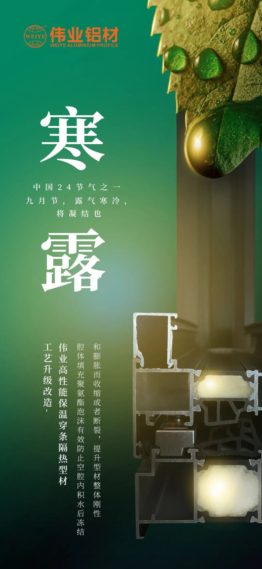 #寒露 九月节，露气寒冷，将凝结也 时光入深秋，岁月便深情