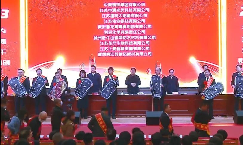 江苏long8唯一喜获新沂经开区“突出贡献”“金牌项目”双项荣誉