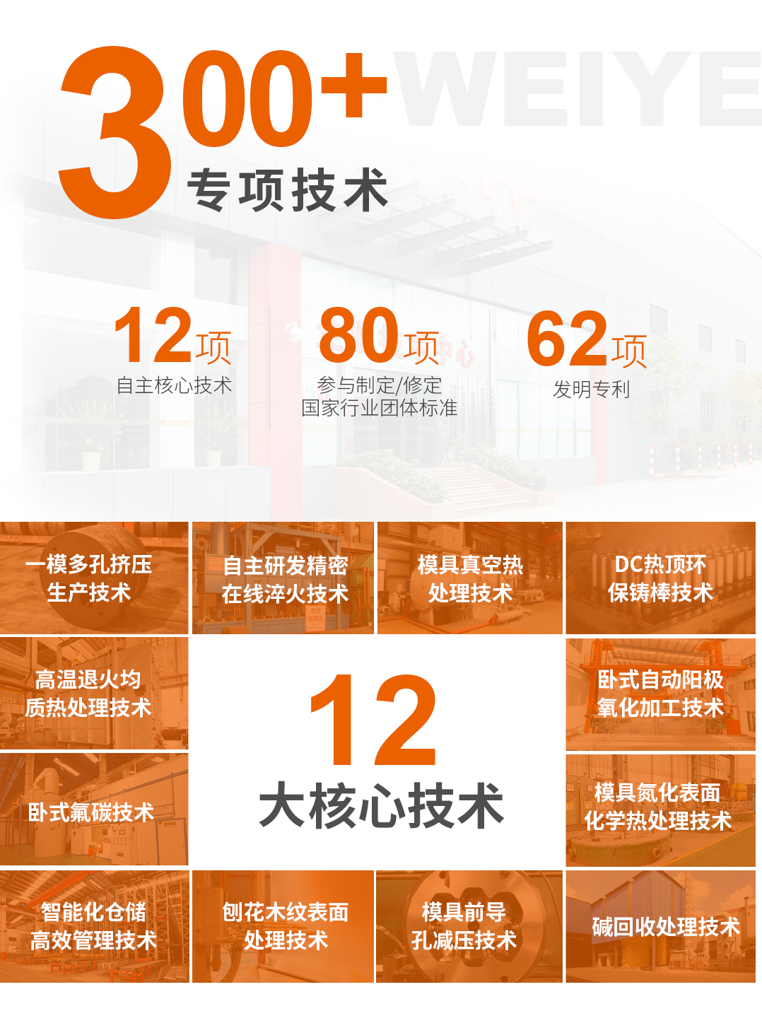 long8唯一简介2_01.jpg